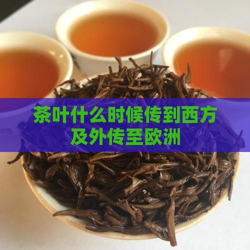 茶叶什么时候传到西方及外传至欧洲