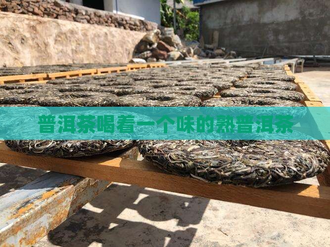 普洱茶喝着一个味的熟普洱茶