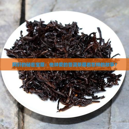 阿轩的秘密宝藏：他钟爱的普洱茶藏着怎样的故事？
