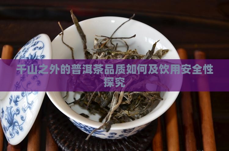 千山之外的普洱茶品质如何及饮用安全性探究