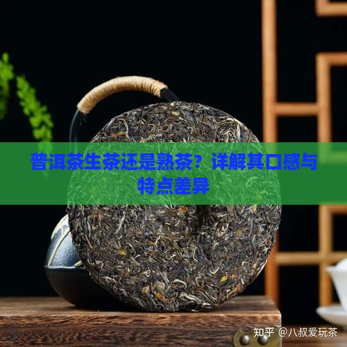 普洱茶生茶还是熟茶？详解其口感与特点差异