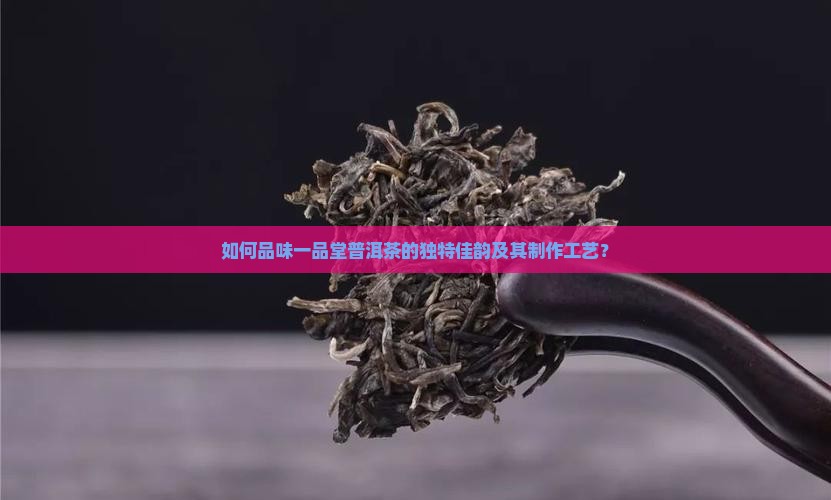 如何品味一品堂普洱茶的独特佳韵及其制作工艺？