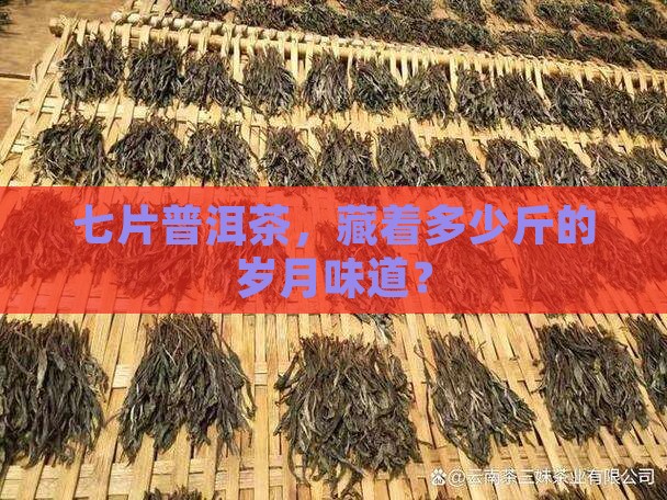 七片普洱茶，藏着多少斤的岁月味道？