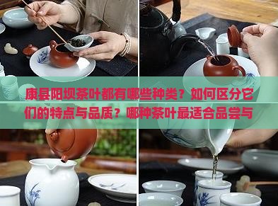 康县阳坝茶叶都有哪些种类？如何区分它们的特点与品质？哪种茶叶最适合品尝与购买？