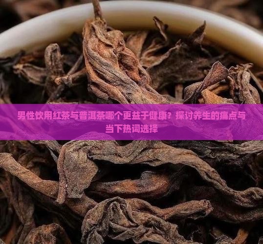 男性饮用红茶与普洱茶哪个更益于健康？探讨养生的痛点与当下热词选择