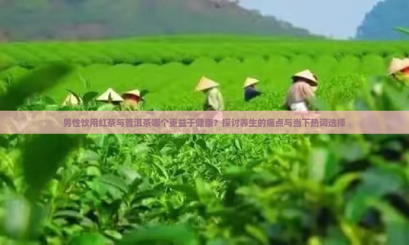 男性饮用红茶与普洱茶哪个更益于健康？探讨养生的痛点与当下热词选择