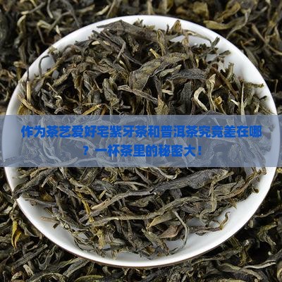作为茶艺爱好宅紫牙茶和普洱茶究竟差在哪？一杯茶里的秘密大！