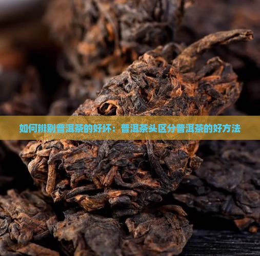 如何辨别普洱茶的好坏：普洱茶头区分普洱茶的好方法