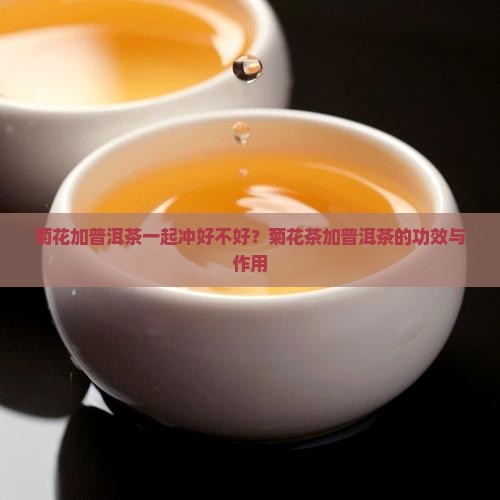 菊花加普洱茶一起冲好不好？菊花茶加普洱茶的功效与作用
