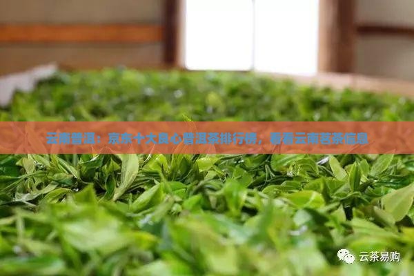 云南普洱：京东十大良心普洱茶排行榜，看看云南茗茶信息