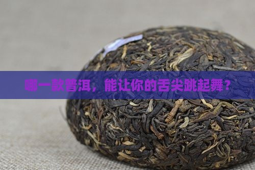 哪一款普洱，能让你的舌尖跳起舞？