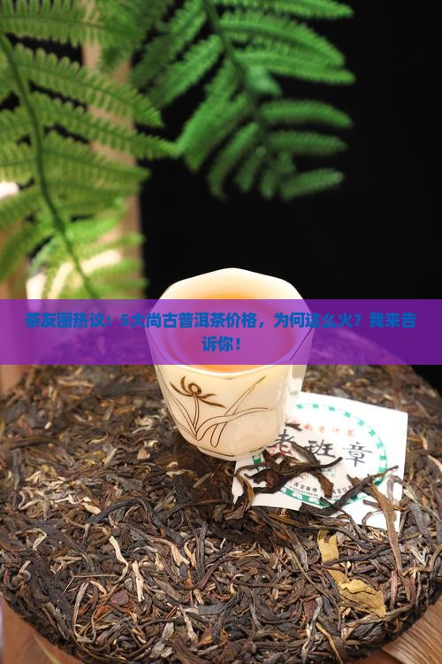 茶友圈热议：5大尚古普洱茶价格，为何这么火？我来告诉你！