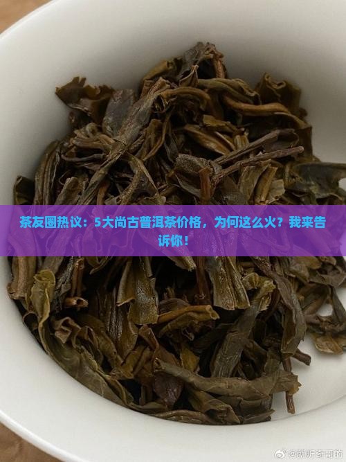 茶友圈热议：5大尚古普洱茶价格，为何这么火？我来告诉你！