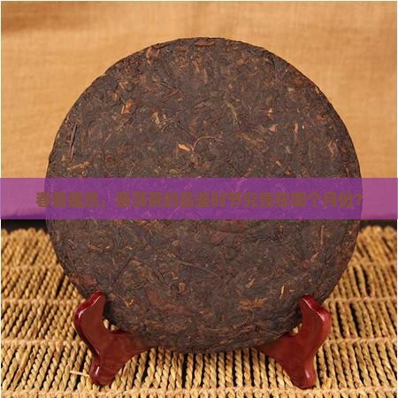 春意盎然，普洱茶的品鉴时节究竟在哪个月份？