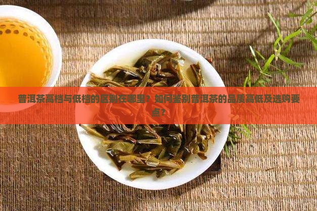 普洱茶高档与低档的区别在哪里？如何鉴别普洱茶的品质高低及选购要点？
