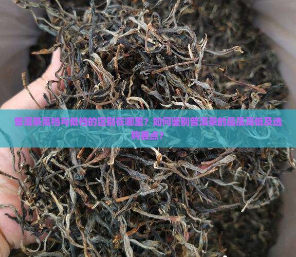 普洱茶高档与低档的区别在哪里？如何鉴别普洱茶的品质高低及选购要点？