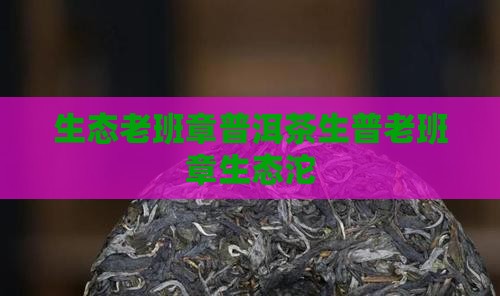 生态老班章普洱茶生普老班章生态沱