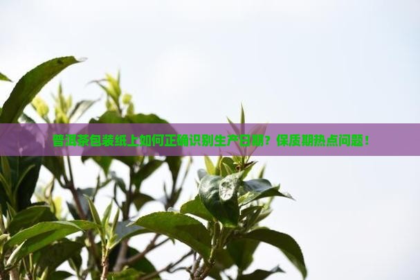 普洱茶包装纸上如何正确识别生产日期？保质期热点问题！