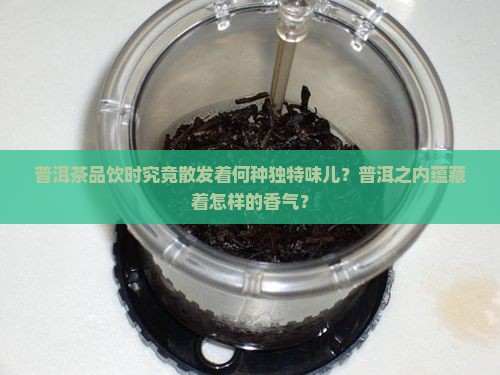 普洱茶品饮时究竟散发着何种独特味儿？普洱之内蕴藏着怎样的香气？