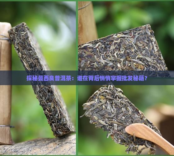 探秘曼西良普洱茶：谁在背后悄悄掌握批发秘籍？