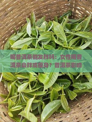 喝普洱茶能发胖吗：女性喝普洱茶会胖或瘦身？普洱茶影响体重探究