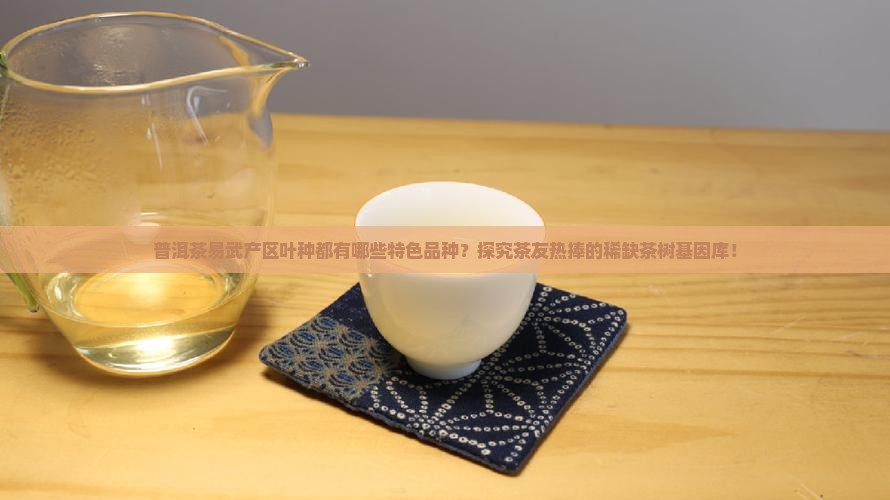 普洱茶易武产区叶种都有哪些特色品种？探究茶友热捧的稀缺茶树基因库！