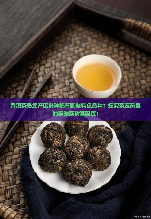 普洱茶易武产区叶种都有哪些特色品种？探究茶友热捧的稀缺茶树基因库！