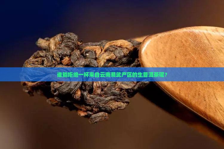 谁能拒绝一杯来自云南易武产区的生普洱茶呢？