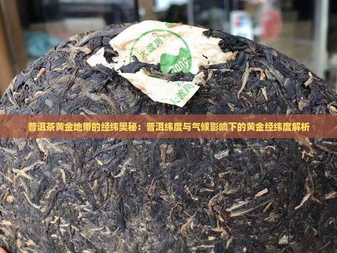 普洱茶黄金地带的经纬奥秘：普洱纬度与气候影响下的黄金经纬度解析