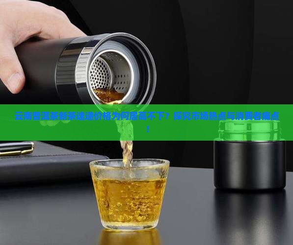 云南普洱茶新茶速递价格为何居高不下？探究市场热点与消费者痛点！