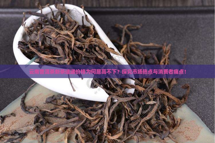 云南普洱茶新茶速递价格为何居高不下？探究市场热点与消费者痛点！