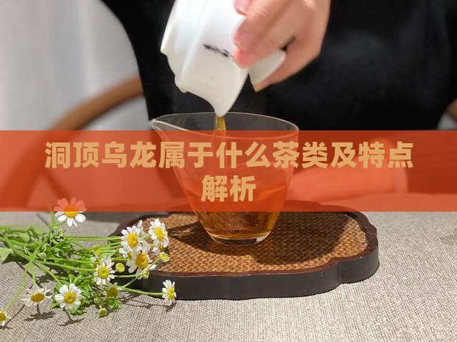 洞顶乌龙属于什么茶类及特点解析