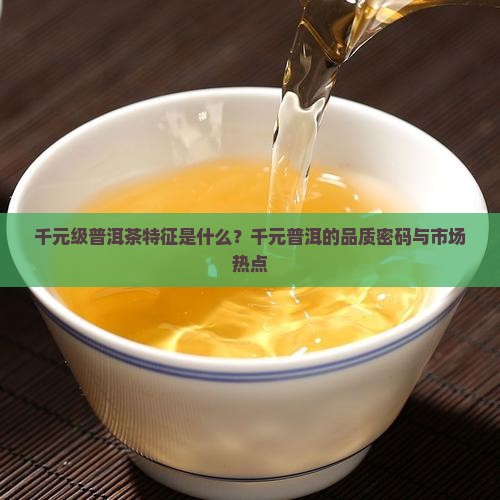 千元级普洱茶特征是什么？千元普洱的品质密码与市场热点