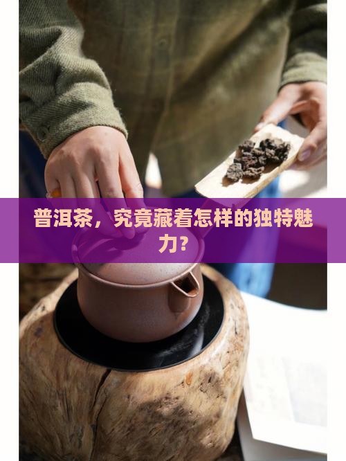 普洱茶，究竟藏着怎样的独特魅力？