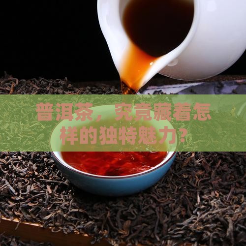 普洱茶，究竟藏着怎样的独特魅力？