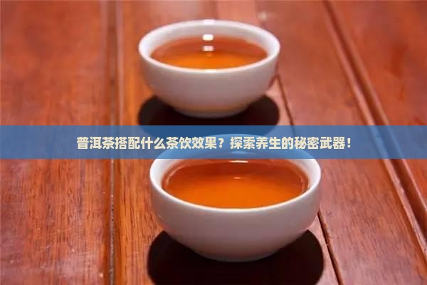 普洱茶搭配什么茶饮效果？探索养生的秘密武器！