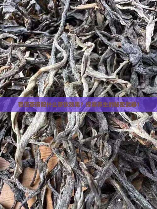 普洱茶搭配什么茶饮效果？探索养生的秘密武器！