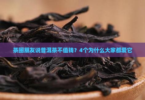 茶圈朋友说普洱茶不值钱？4个为什么大家都爱它