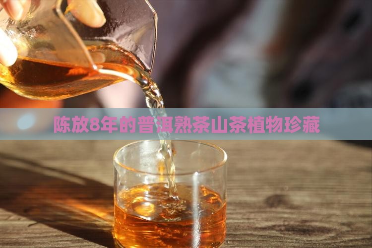 陈放8年的普洱熟茶山茶植物珍藏