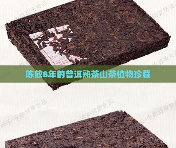 陈放8年的普洱熟茶山茶植物珍藏