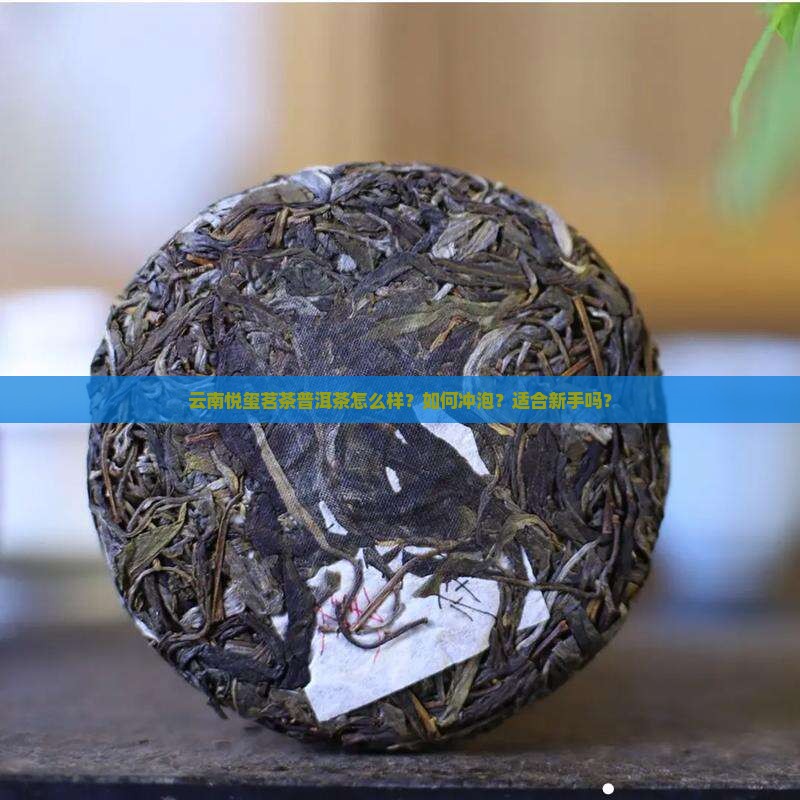云南悦玺茗茶普洱茶怎么样？如何冲泡？适合新手吗？