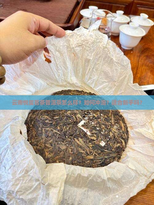 云南悦玺茗茶普洱茶怎么样？如何冲泡？适合新手吗？