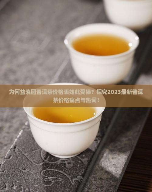 为何益滇园普洱茶价格表如此受捧？探究2023最新普洱茶价格痛点与热词！