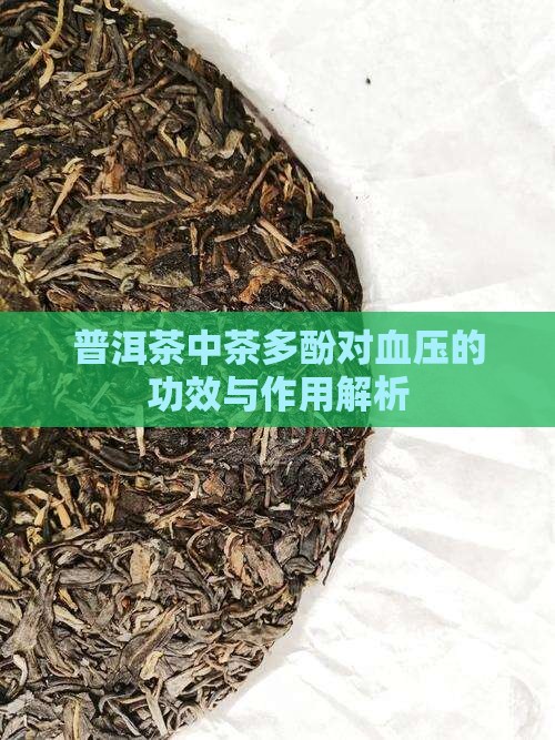 普洱茶中茶多酚对血压的功效与作用解析
