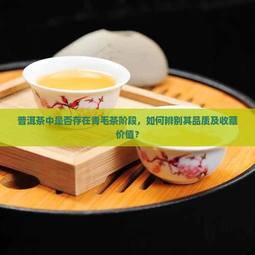 普洱茶中是否存在青毛茶阶段，如何辨别其品质及收藏价值？