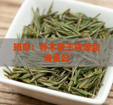 班章：乔木茶王珠源勐海贵妃