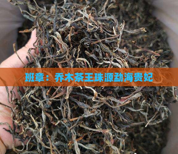 班章：乔木茶王珠源勐海贵妃