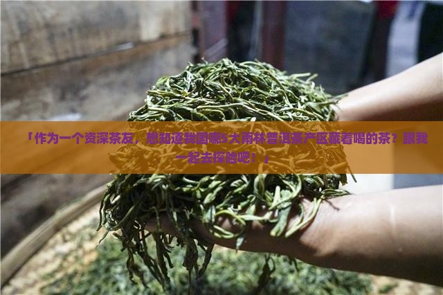 「作为一个资深茶友，想知道我国哪5大雨林普洱茶产区藏着喝的茶？跟我一起去探险吧！」