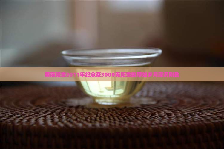 明前班章2011年纪念茶3000克班章韵厚如岁月深沉刚劲