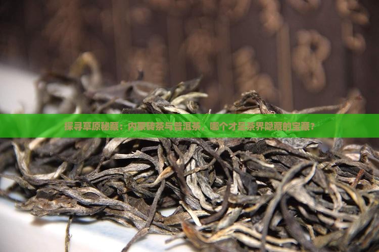 探寻草原秘藏：内蒙砖茶与普洱茶，哪个才是茶界隐藏的宝藏？